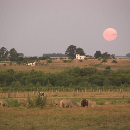 Estancia Hosteria El Ceibo フロリダ エクステリア 写真
