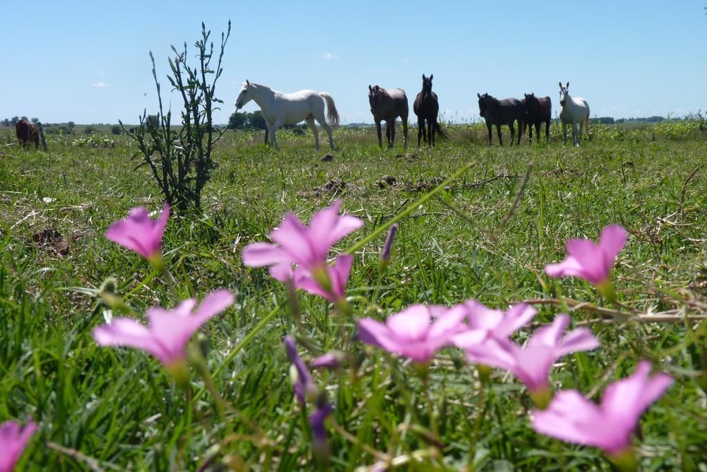 Estancia Hosteria El Ceibo フロリダ エクステリア 写真